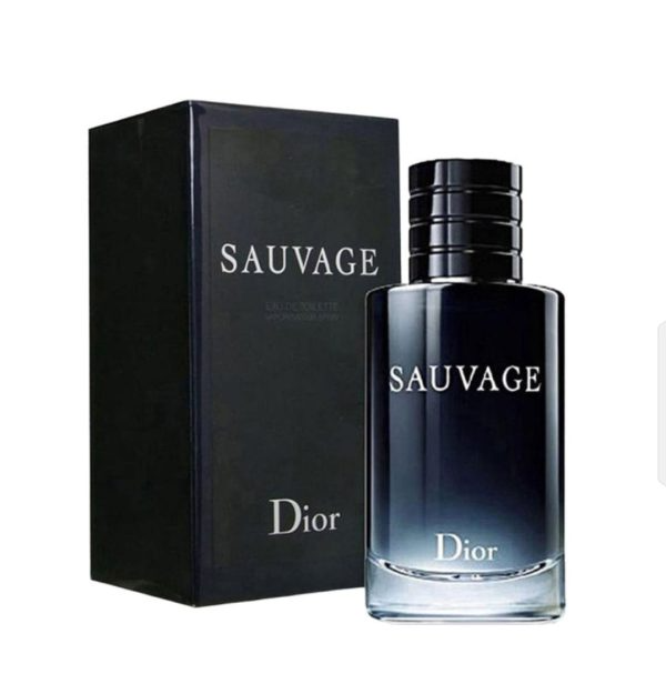 Sauvage Dior Eau De Perfume | Long Lasting Fragrance